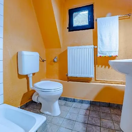 Pensiunea Hanul Oierului Pensiune 4*